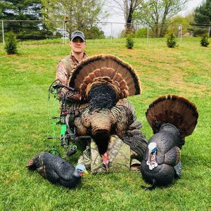 Meet your Posher, Dalton